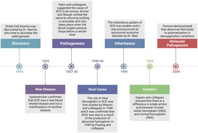 Allogeneic hematopoietic stem cell transplantation to cure sickle cell disease: A review